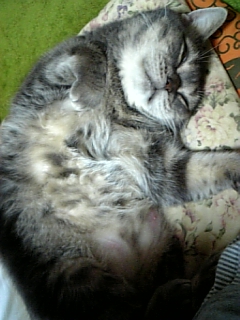 �������Ȃ�